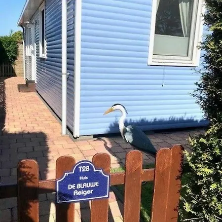 Haus De Blauwe Reiger Сasa de vacaciones *